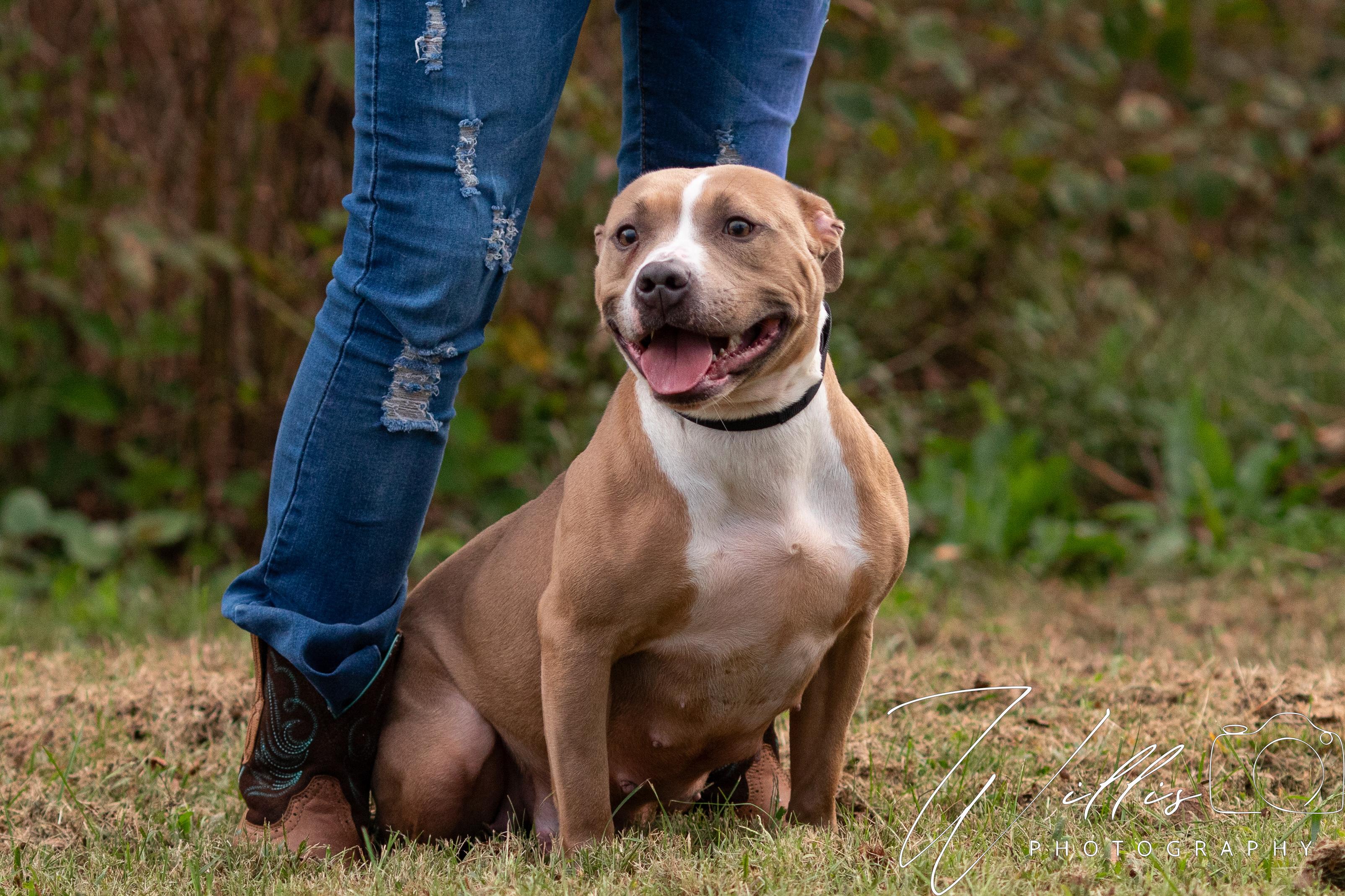 Brystal-Sponsored Adoption