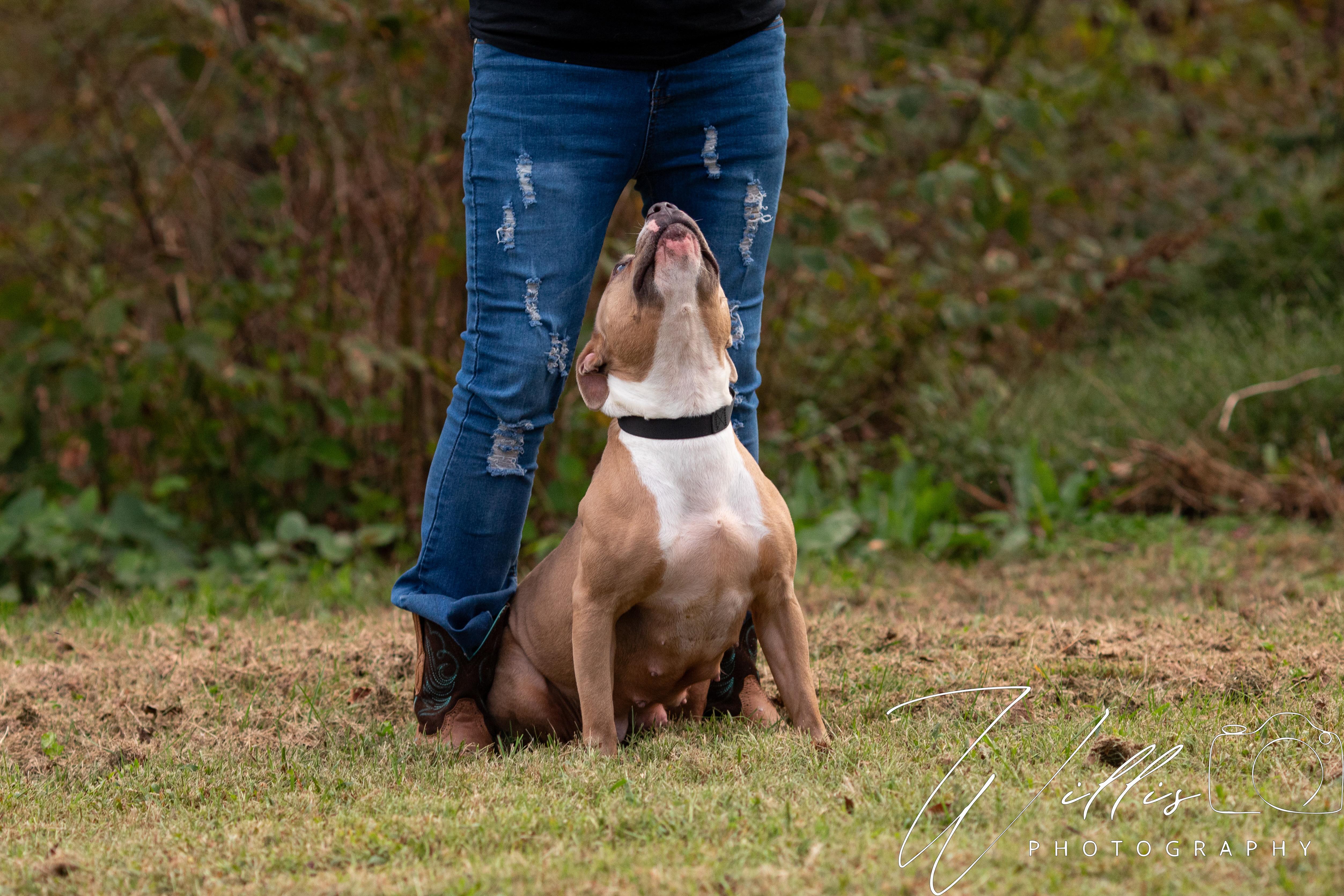 Brystal-Sponsored Adoption