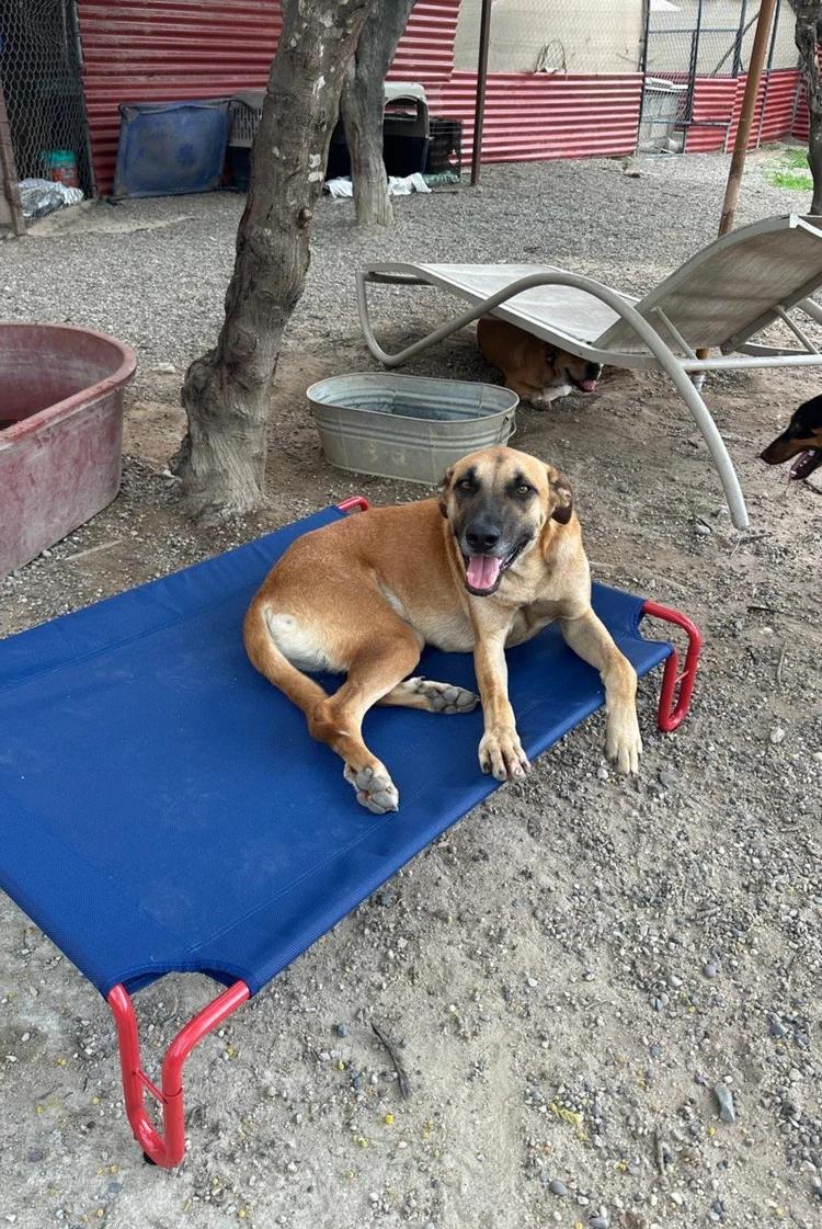 Jay Z — thumbnail 2