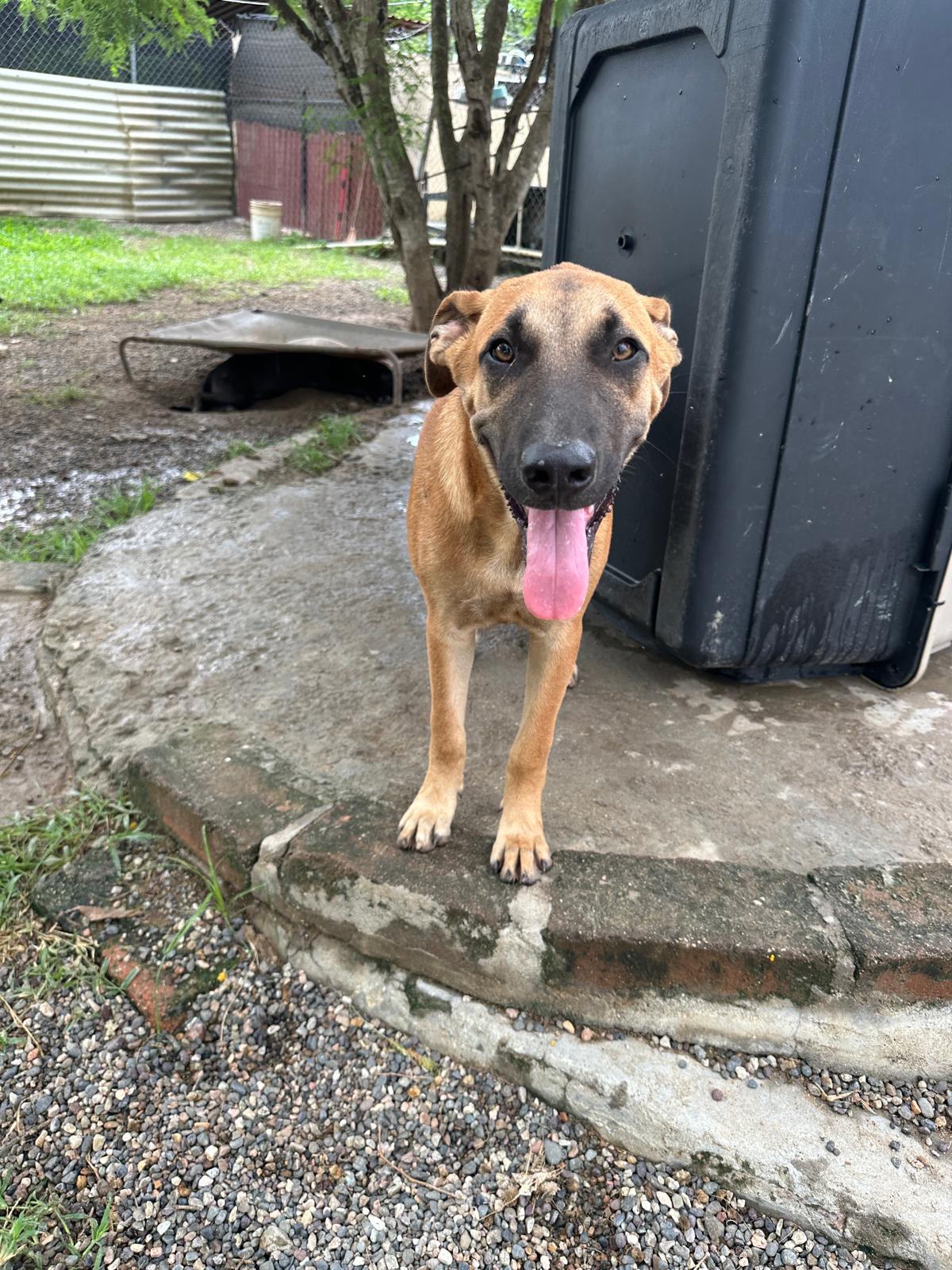 Jay Z — thumbnail 4