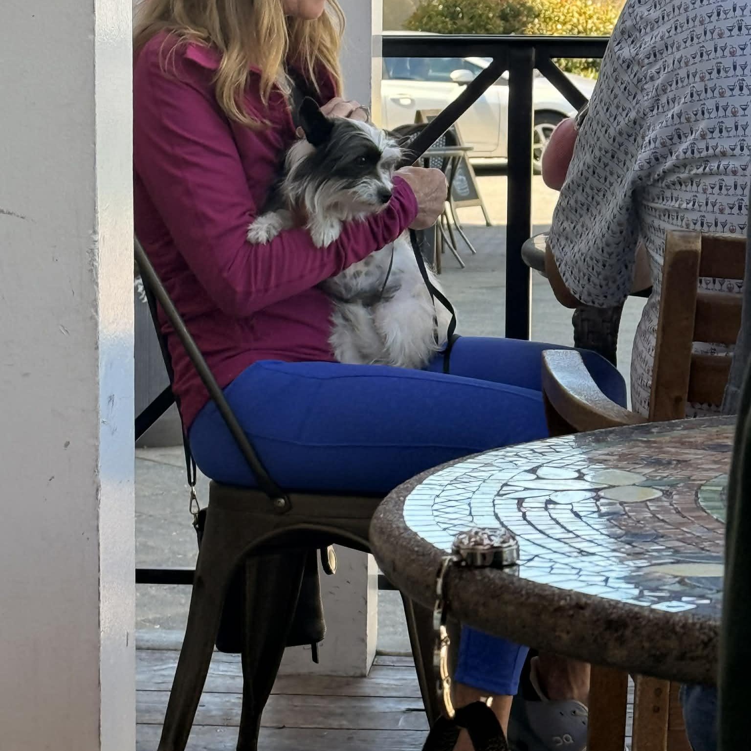 Enlarge Belle, a Adoptable mixed breed in Redwood City , CA image 5/5