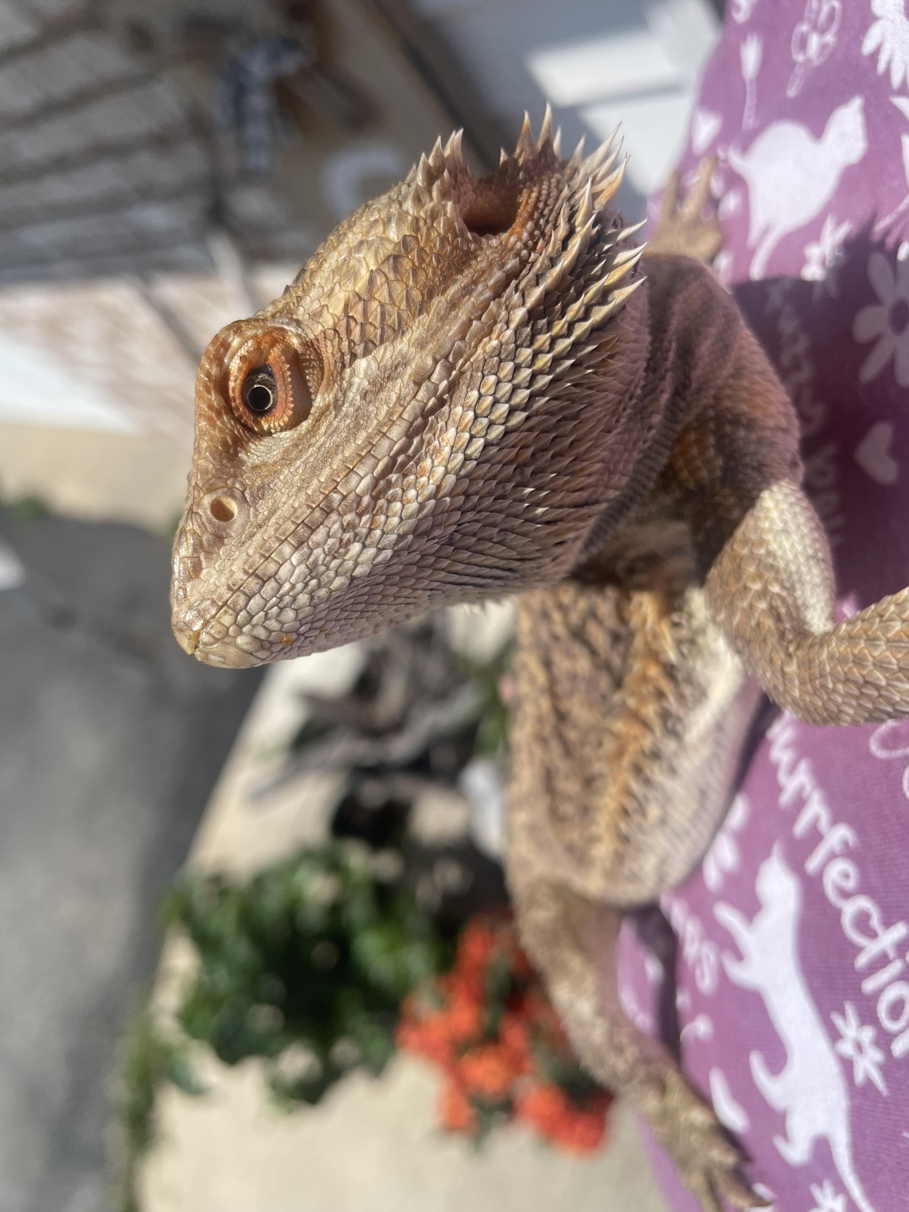 Sunny: video!!, Young Male unknown