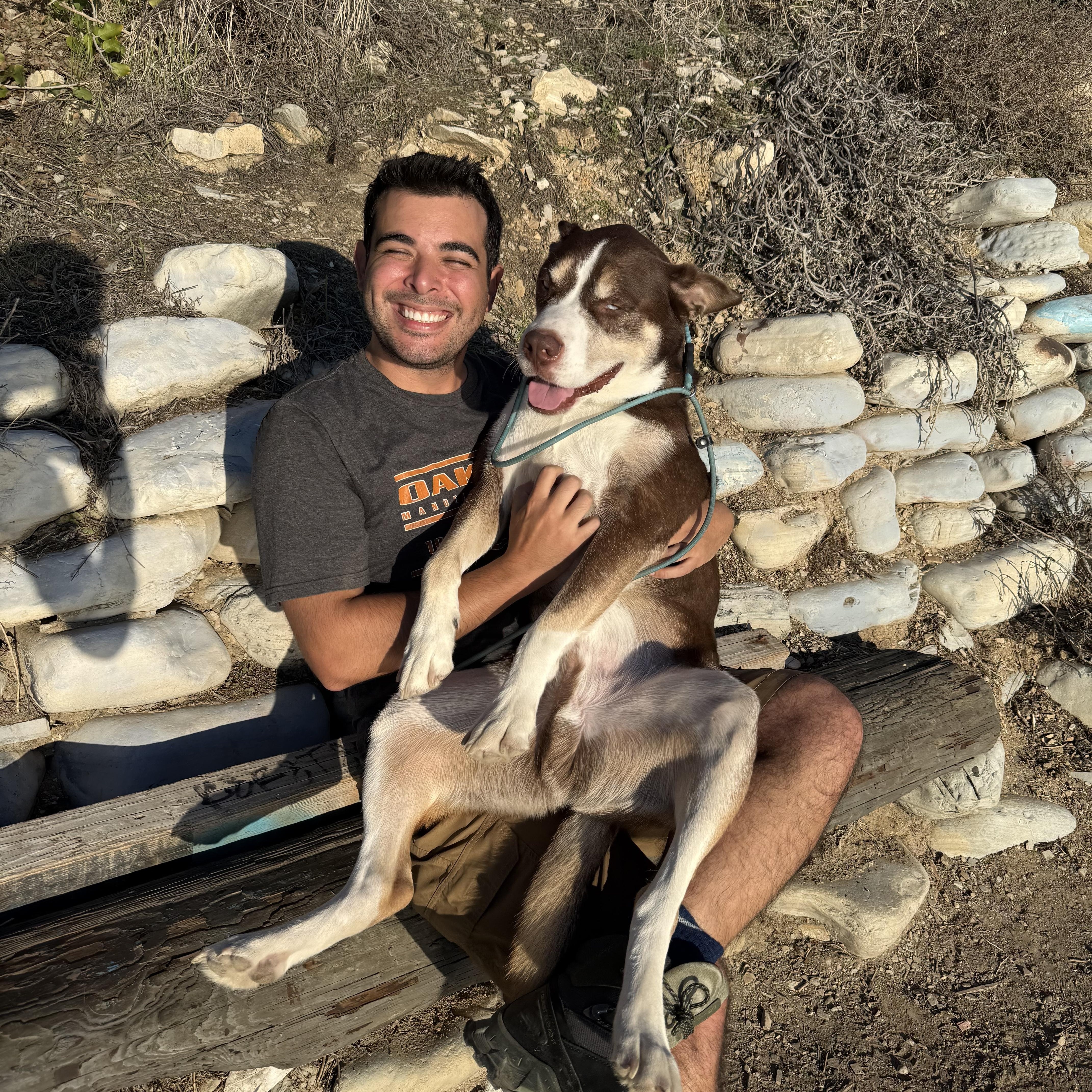 Enlarge Rio, a Adoptable Shepherd in Long Beach, CA image 2/5