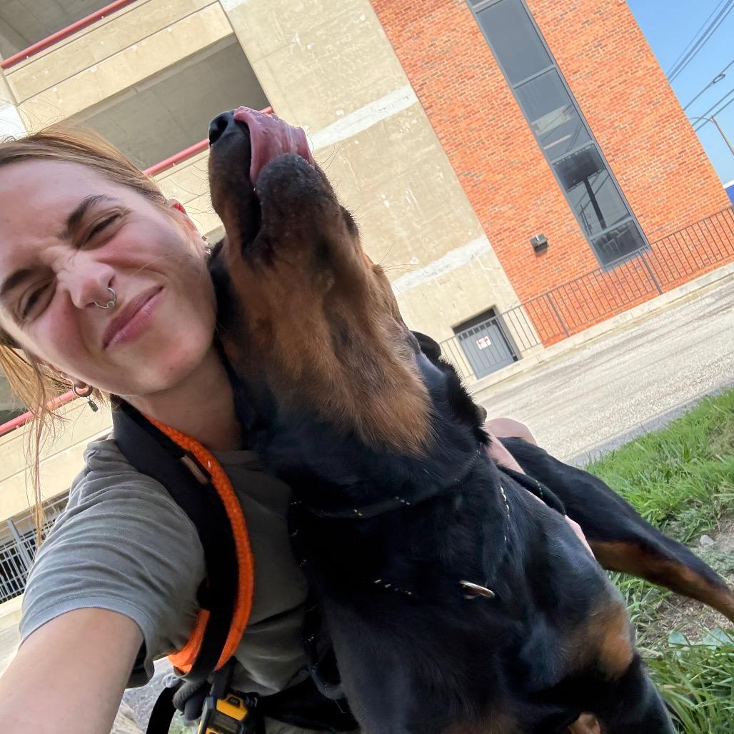 Enlarge Ryn, a Adoptable mixed breed in St. Louis, MO image 3/6