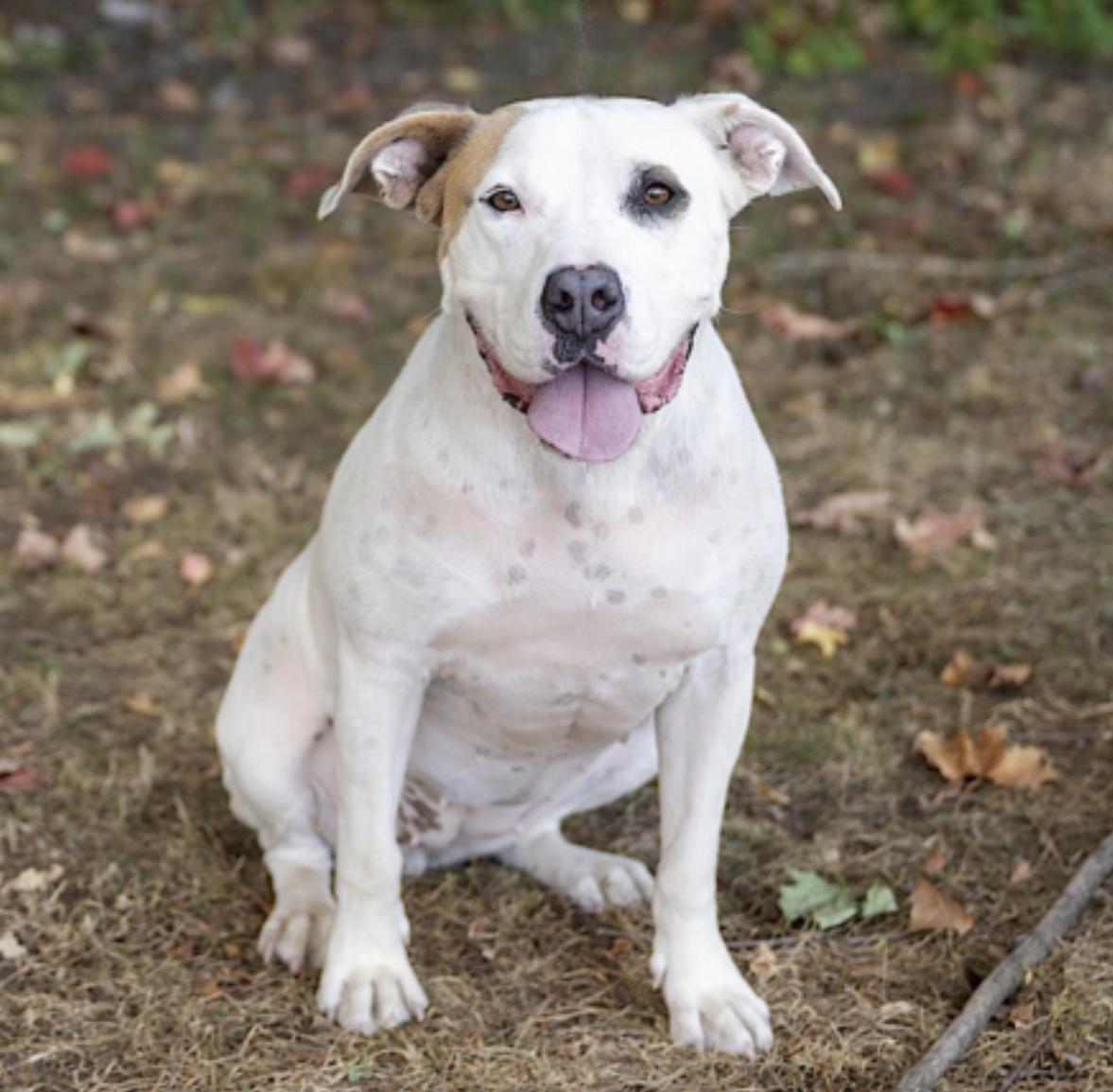 Bryce — thumbnail 2