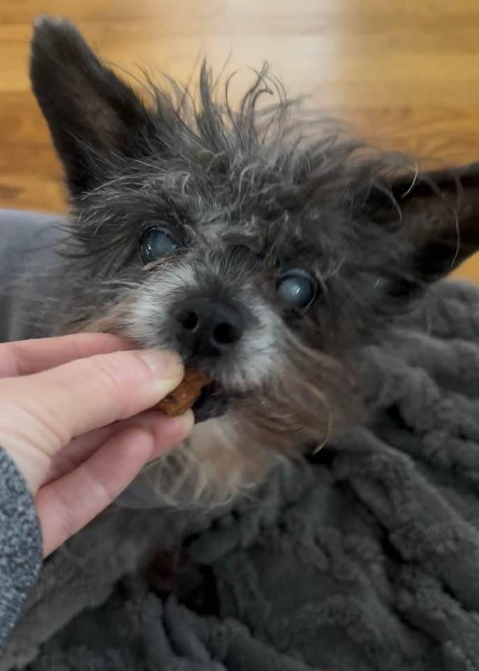 Douglas — thumbnail 2