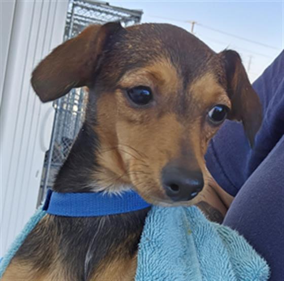 Winnifred -- URGENT!!