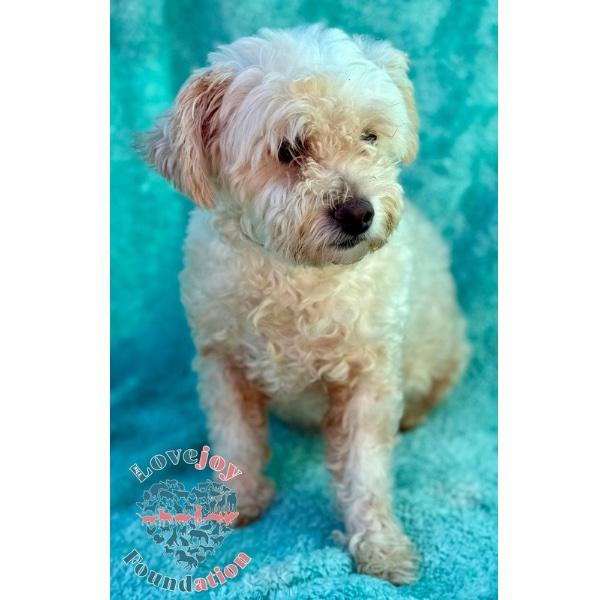 Georgia Coh thumbnail 3