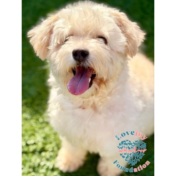 Georgia Coh thumbnail 4