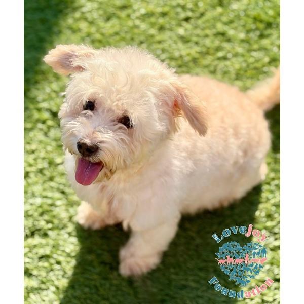 Georgia Coh thumbnail 6