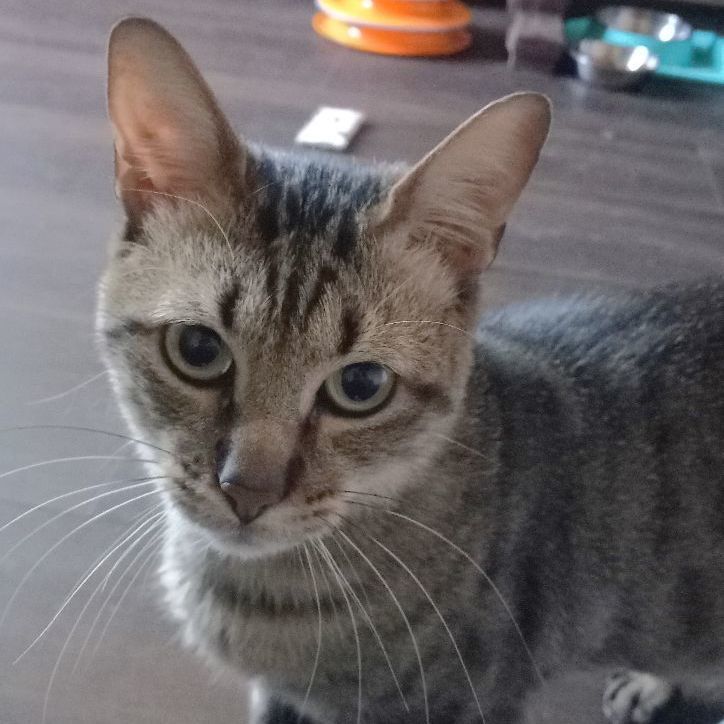 Milton