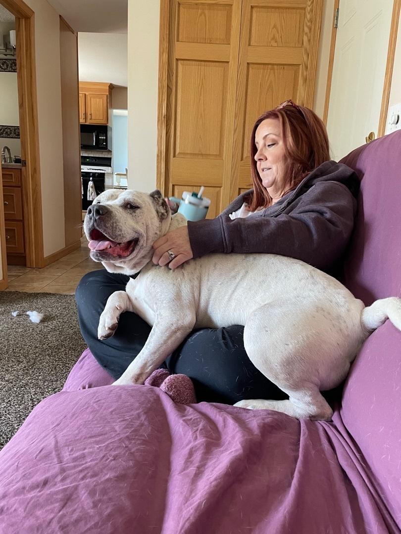 Enlarge Topaz, a Adopted mixed breed in Grand Blanc, MI image 4/16