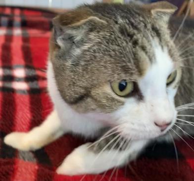 Sydney — thumbnail 5