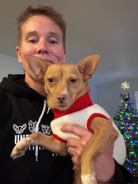 Enlarge Lieutenant Dani, a ADOPTABLE mixed breed in benicia, CA image 1/5