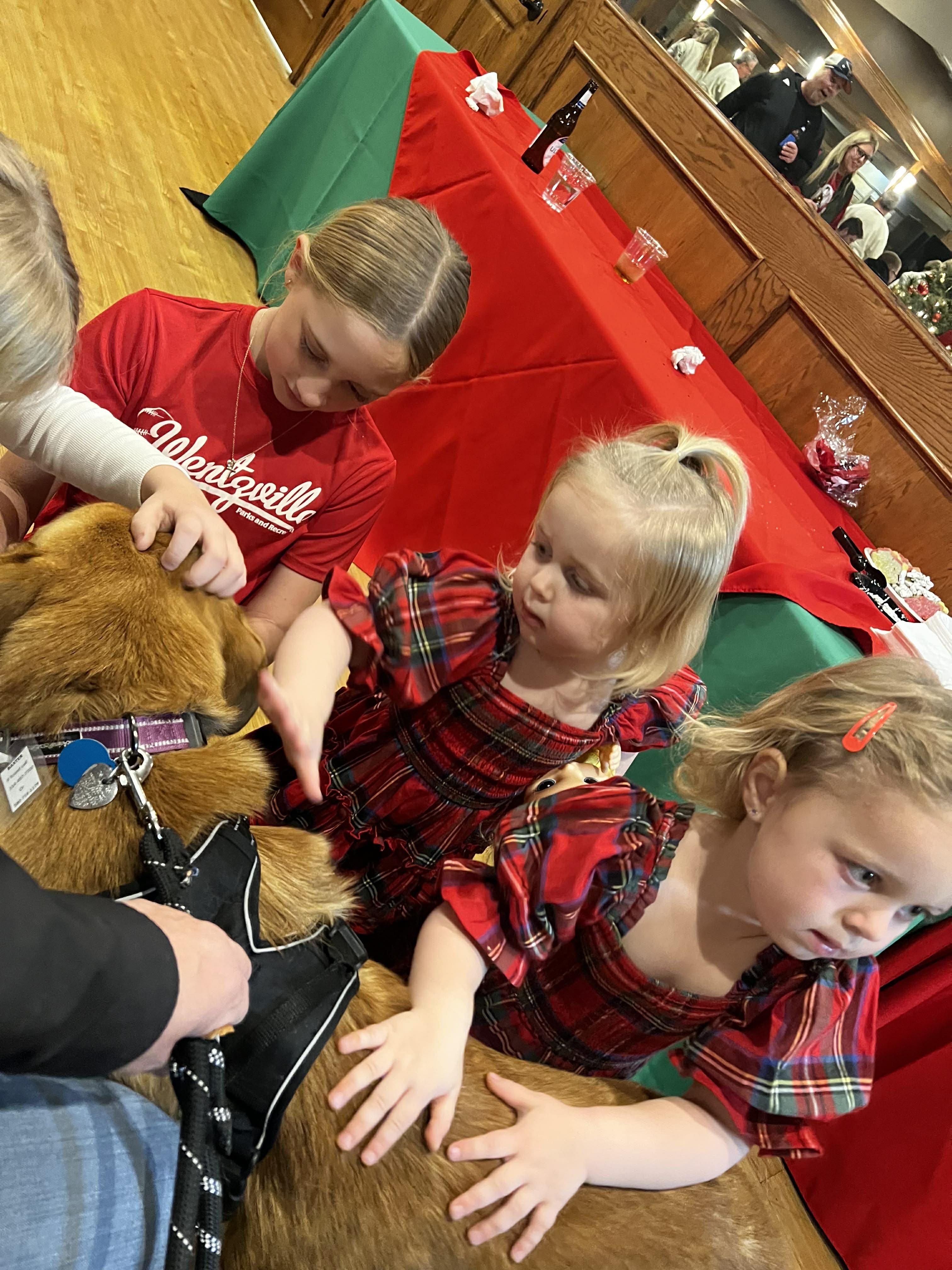 Enlarge Baxter nka Ryder, a Adopted mixed breed in Florissant, MO image 6/6