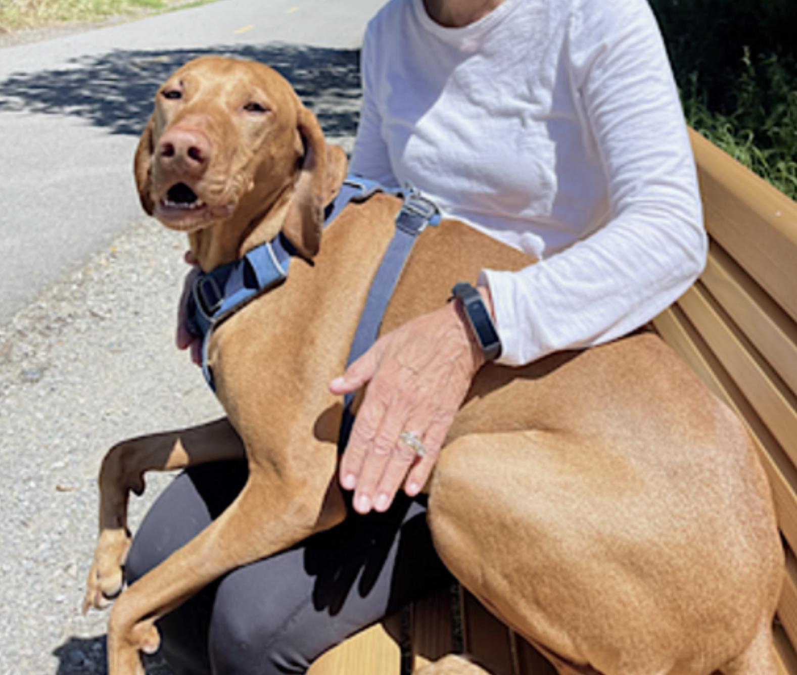 Harrison — thumbnail 2