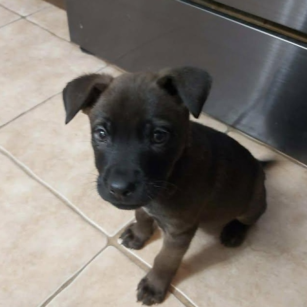 Timber (20260203-07) — thumbnail 3