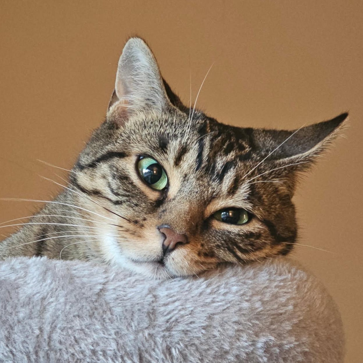 KIKO