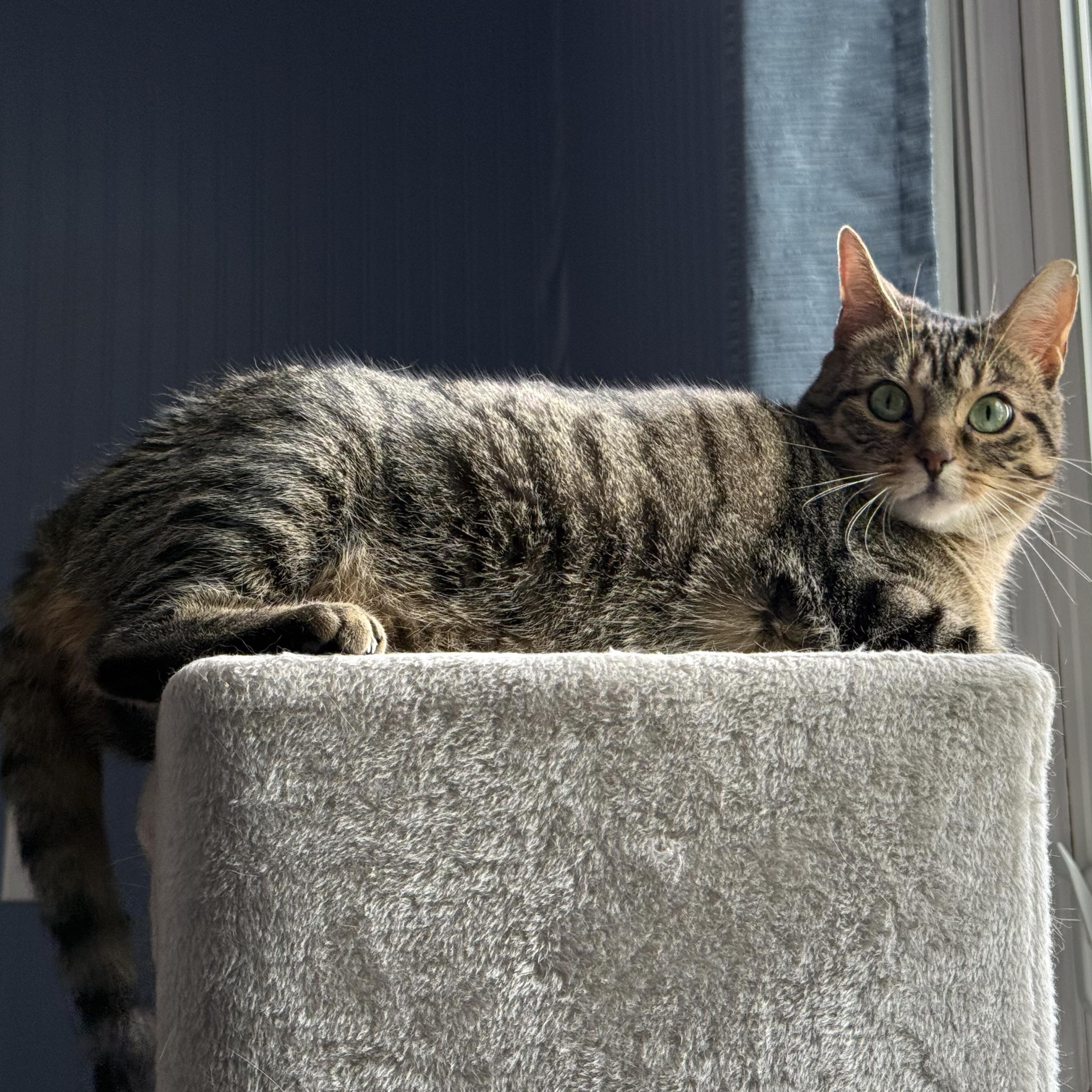 KIKO