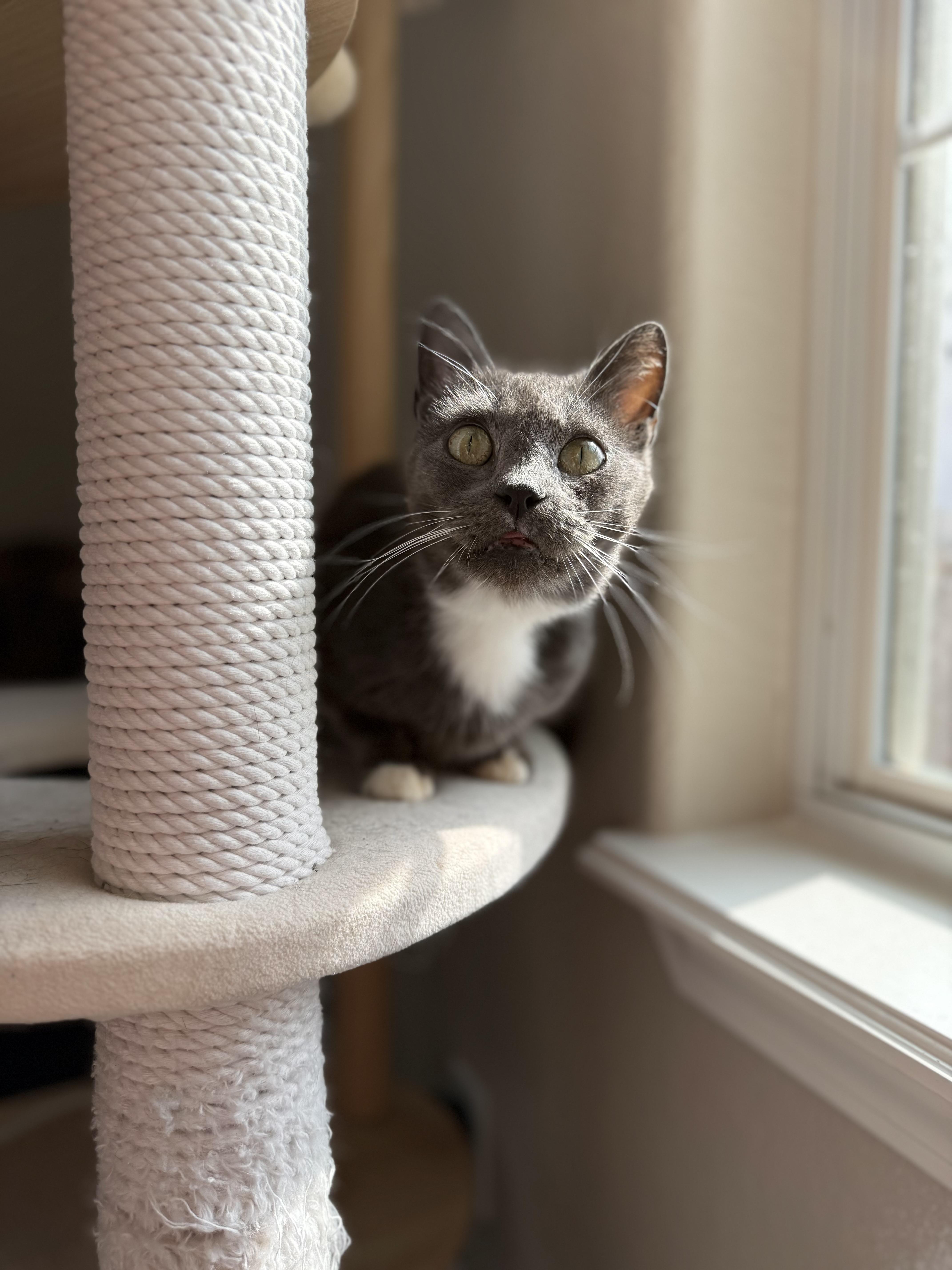 Molly — thumbnail 4