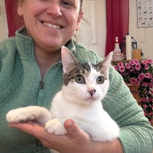 Grasshopper Zapata — thumbnail 4