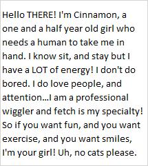 Cinnamon, a Adoptable mixed breed in Libby, MT image 4/4