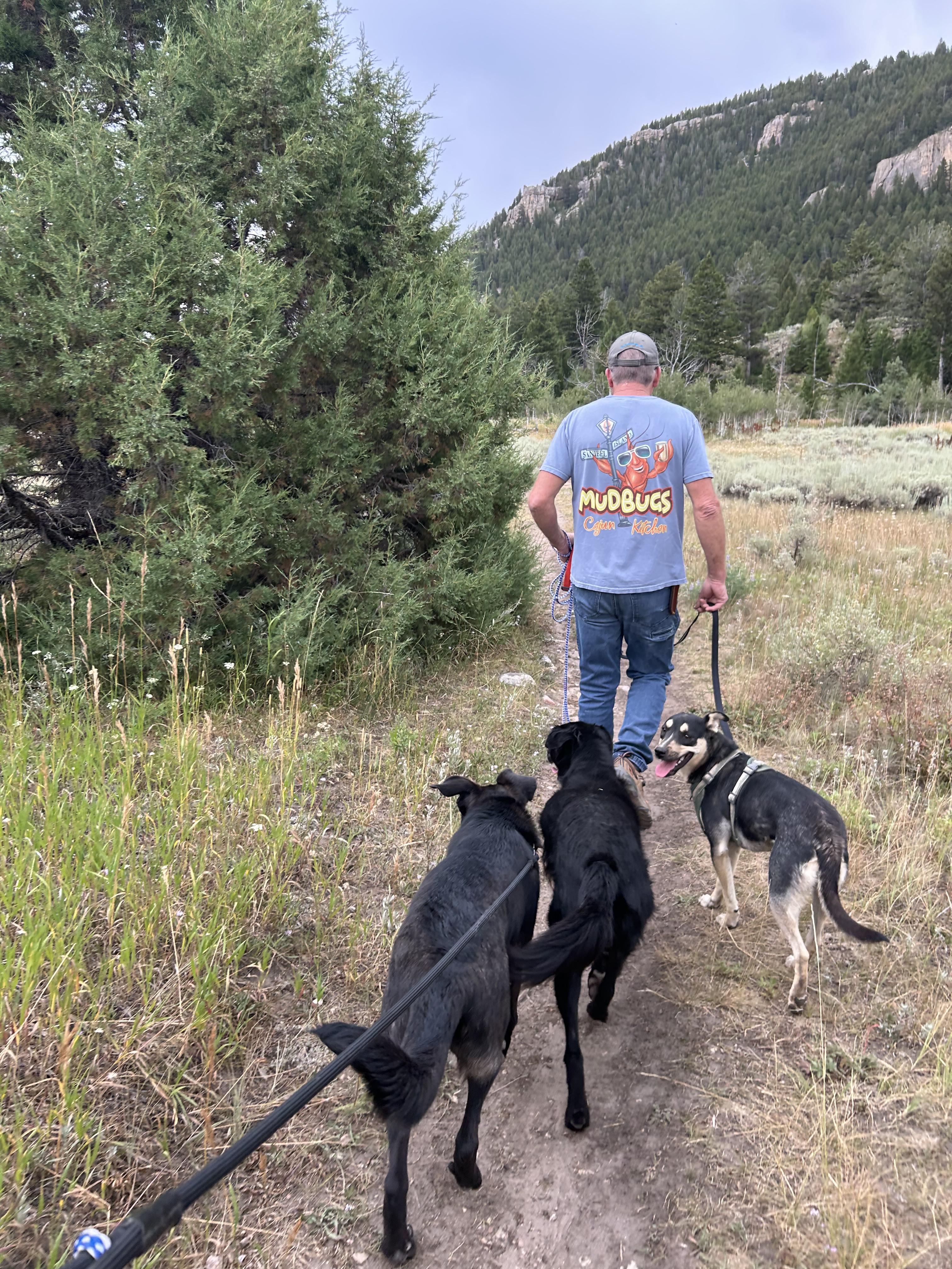 Tansy, a Adoptable mixed breed in Riverton, WY image 5/5