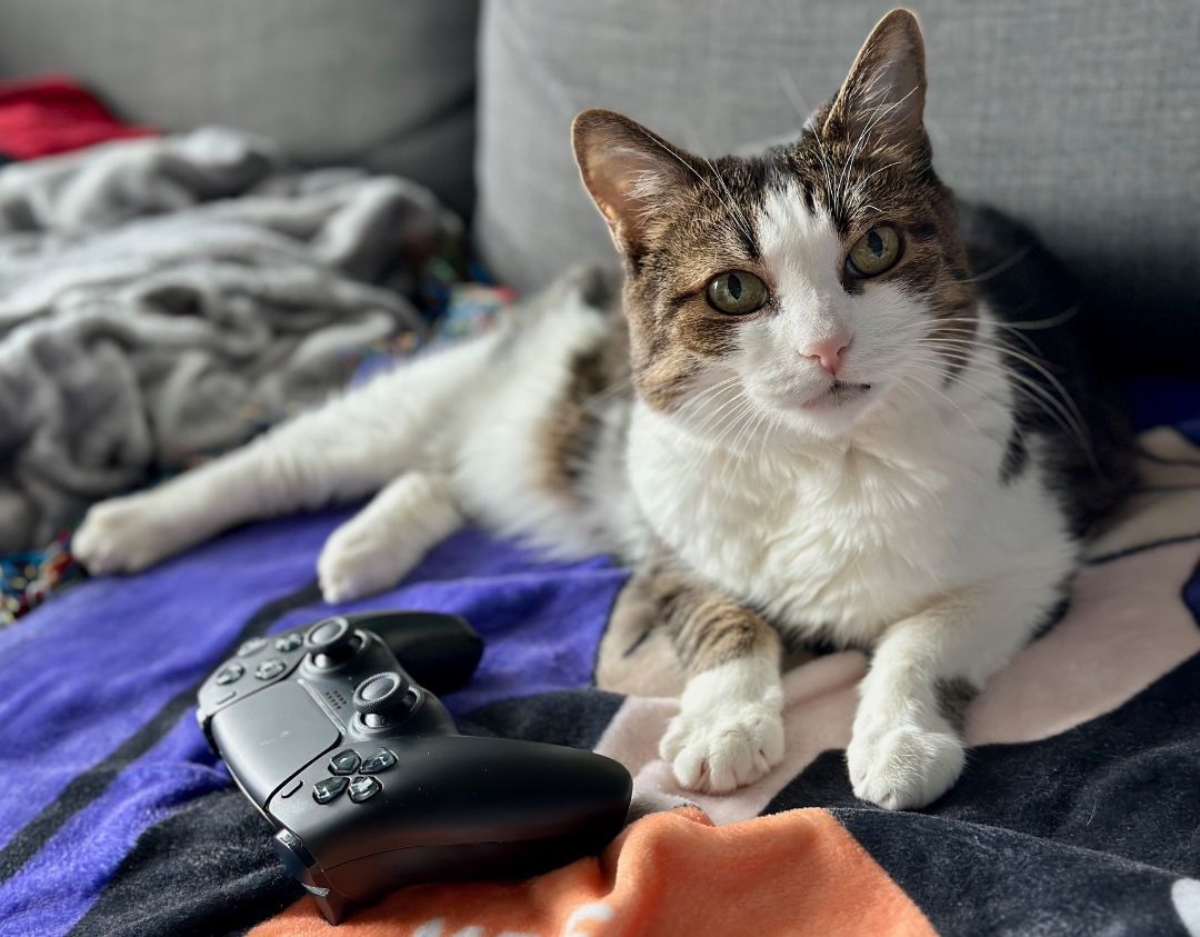 Cece — thumbnail 5