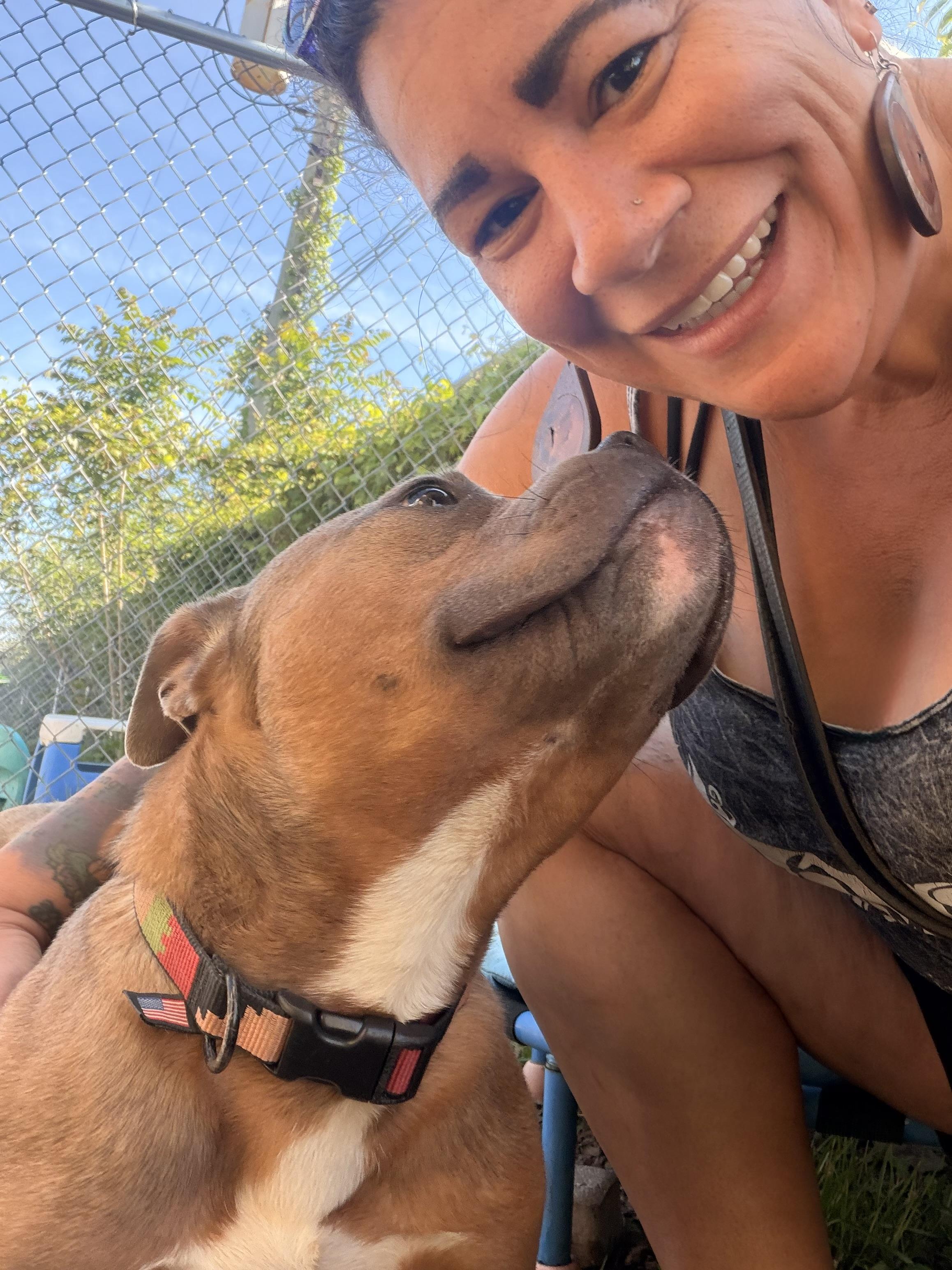 Enlarge Brennan, a ADOPTABLE mixed breed in Pleasant Ridge, MI image 5/6