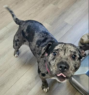 Freya — thumbnail 3