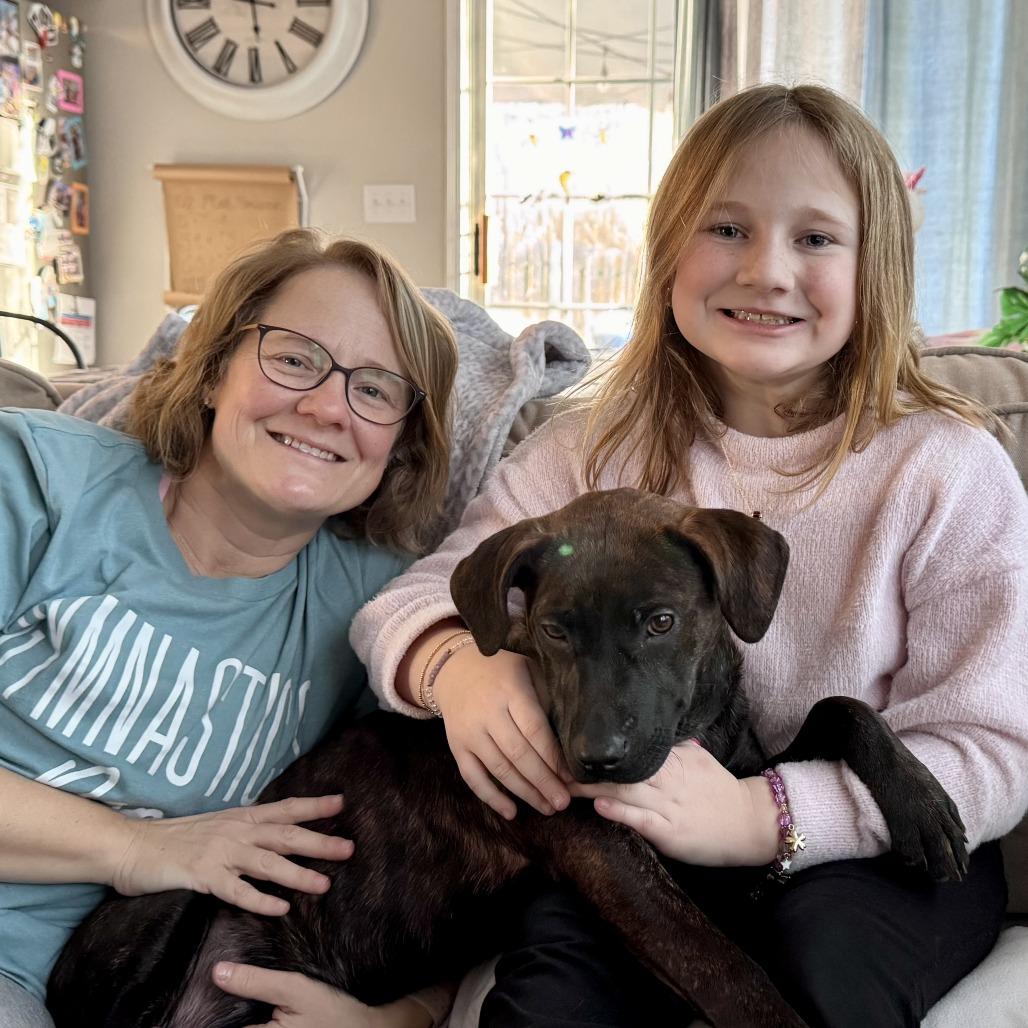 Enlarge Flossy, a Adoptable Hound in Wake Forest, NC image 1/6