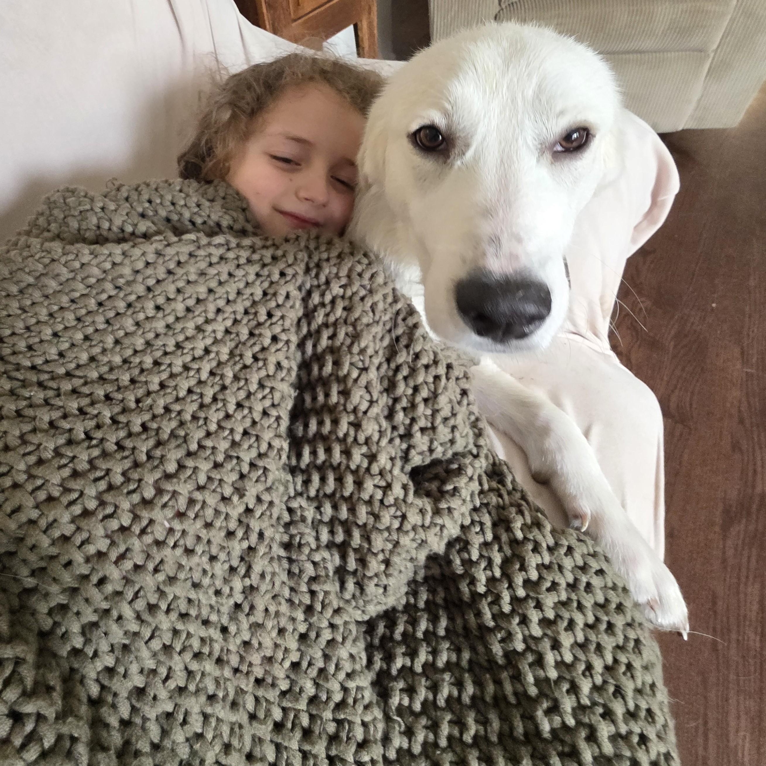 Maisy, a ADOPTABLE Great Pyrenees in Olathe, KS image 2/6