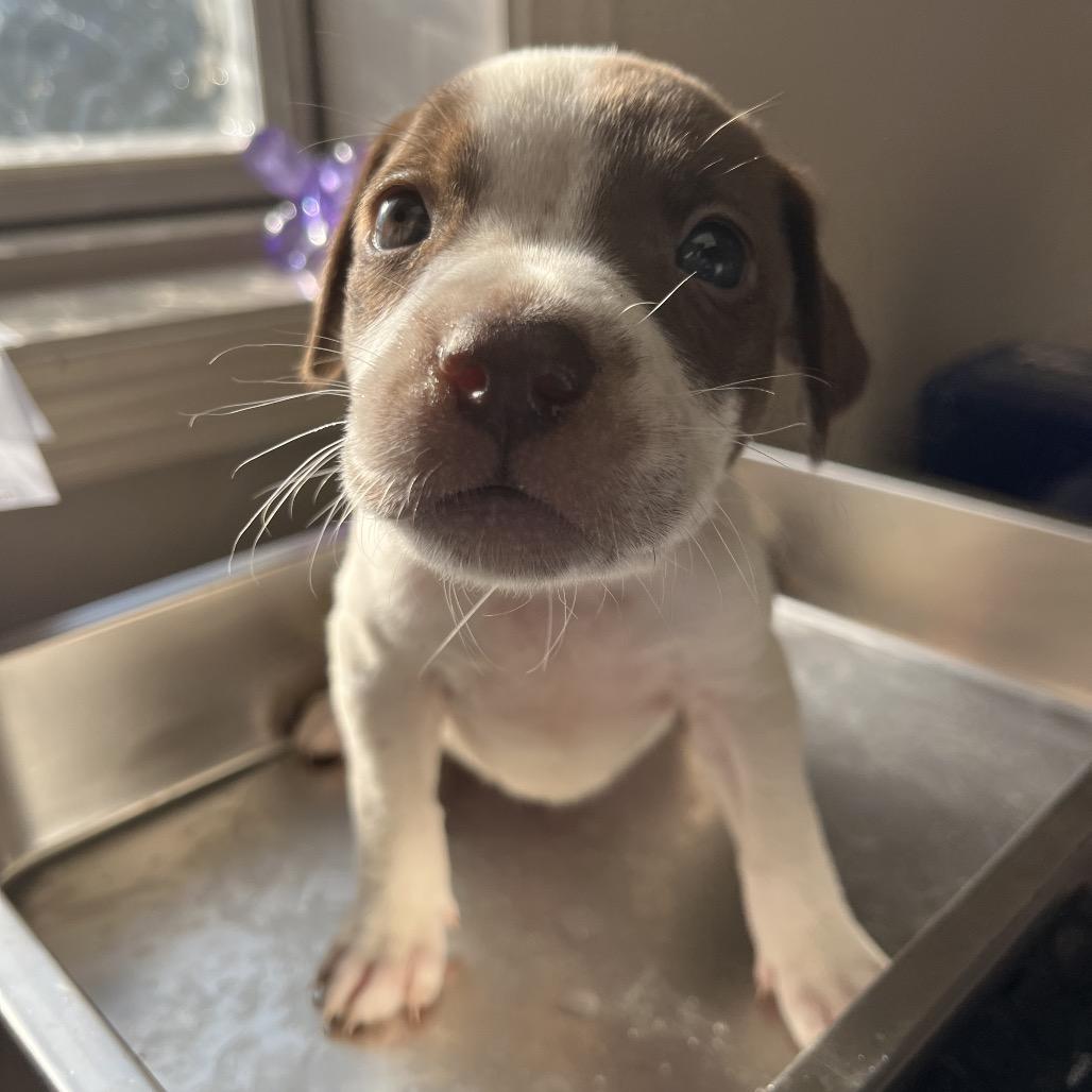 Salem — thumbnail 2