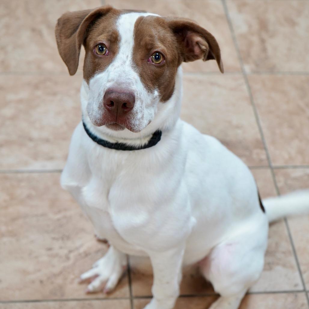 Salem — thumbnail 3