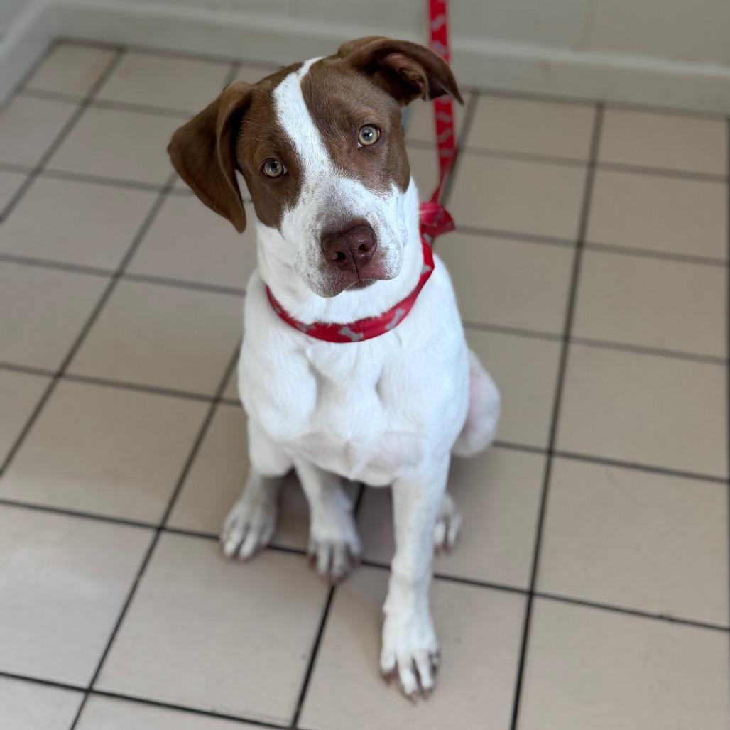 Salem — thumbnail 4