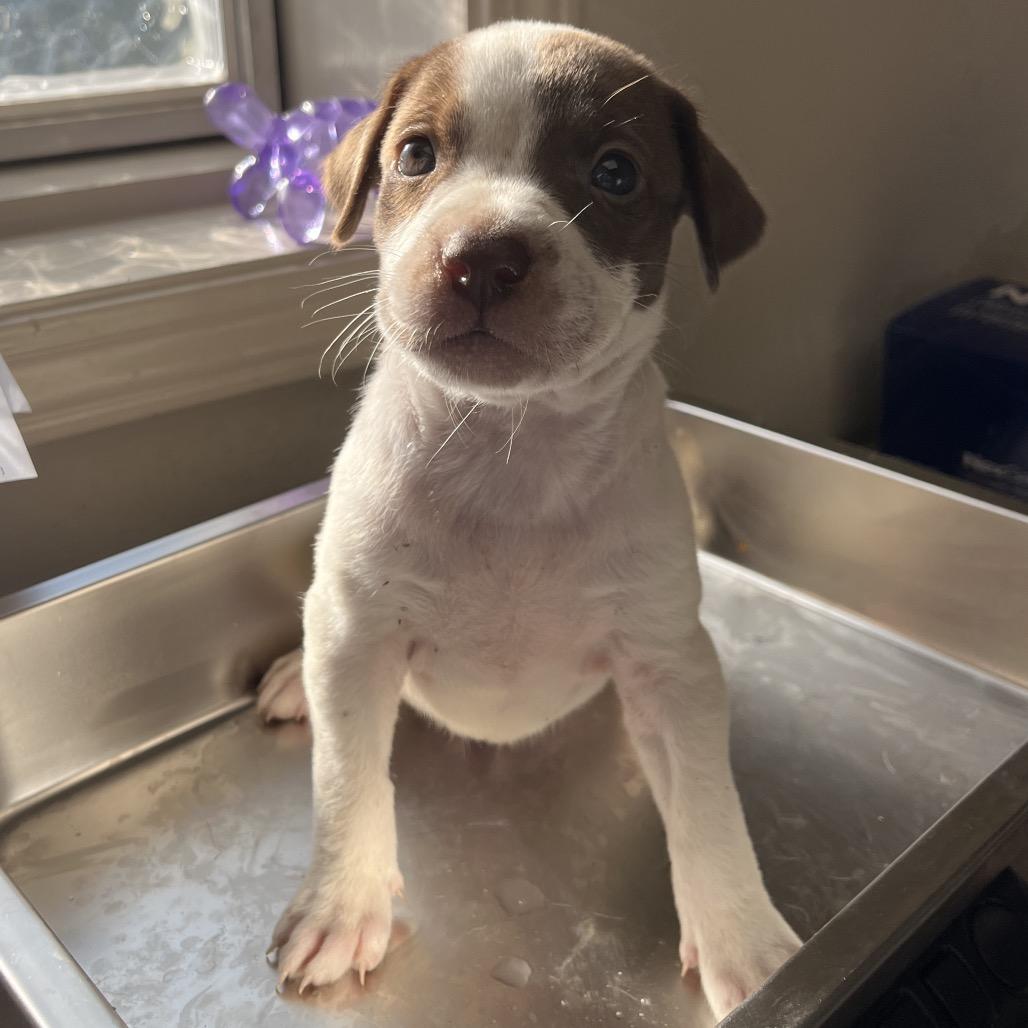 Salem — thumbnail 5