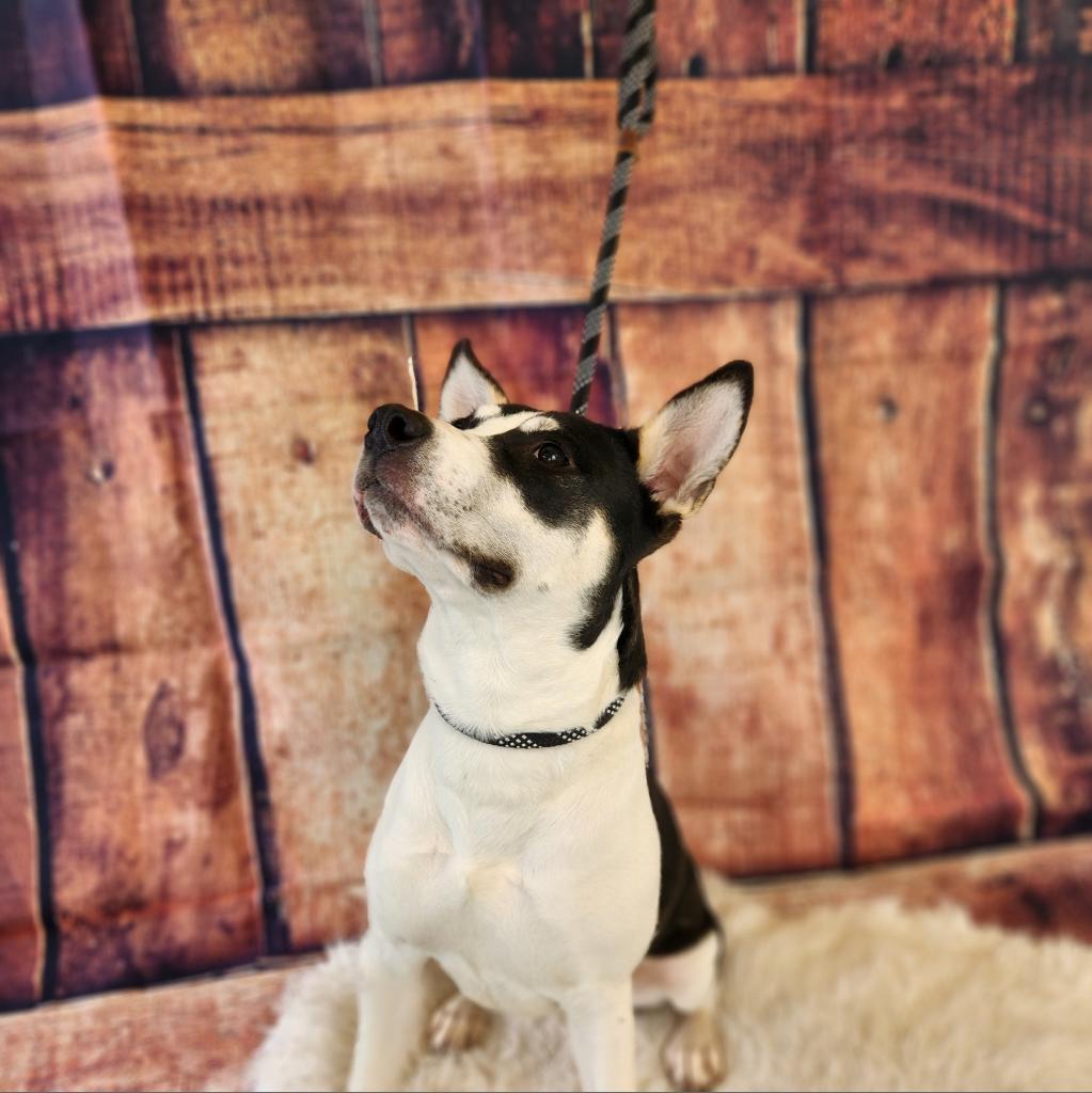 Lola Jum thumbnail 2