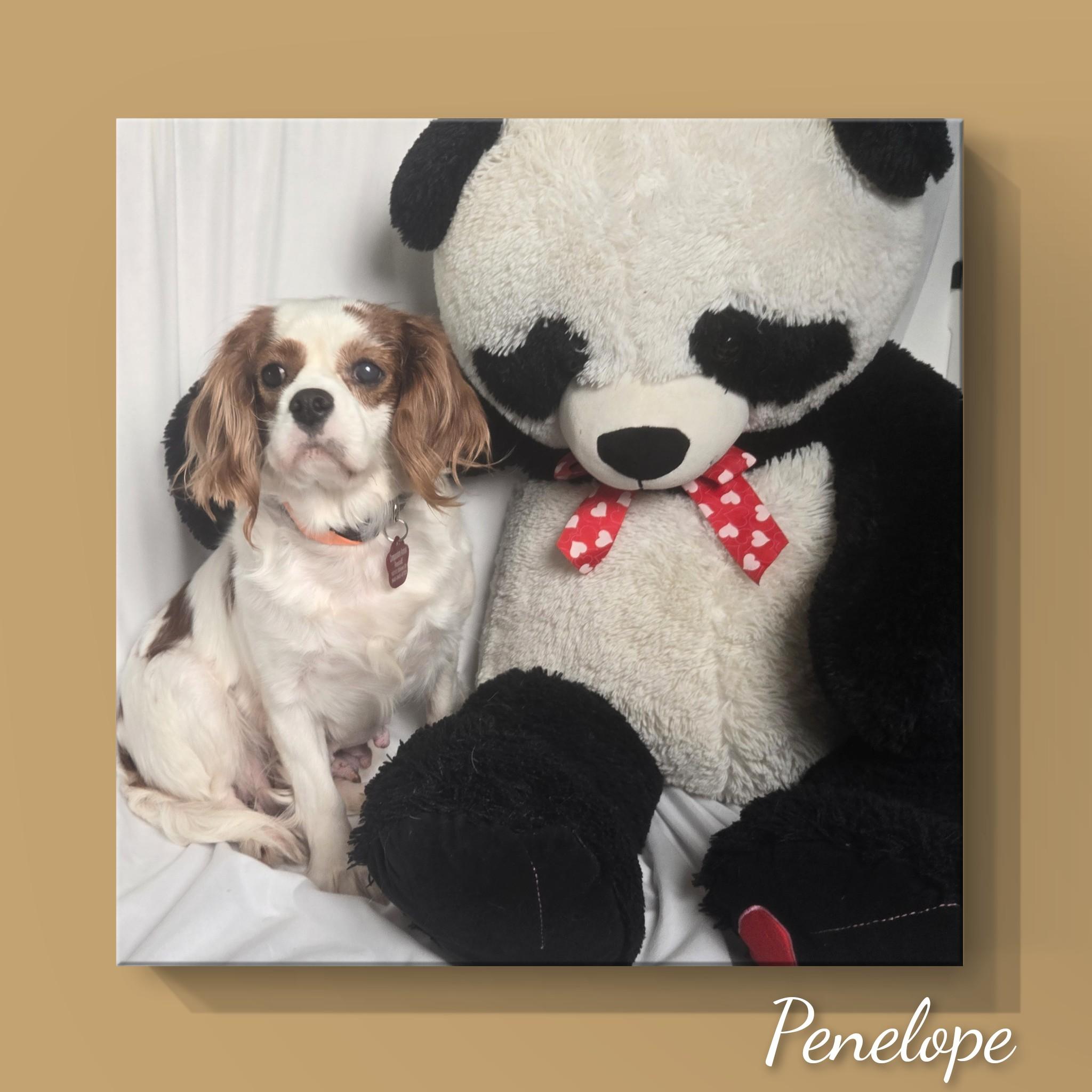 Penelope thumbnail 4