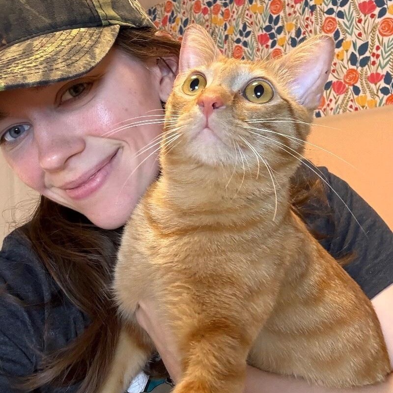 Leo the Lion — thumbnail 2