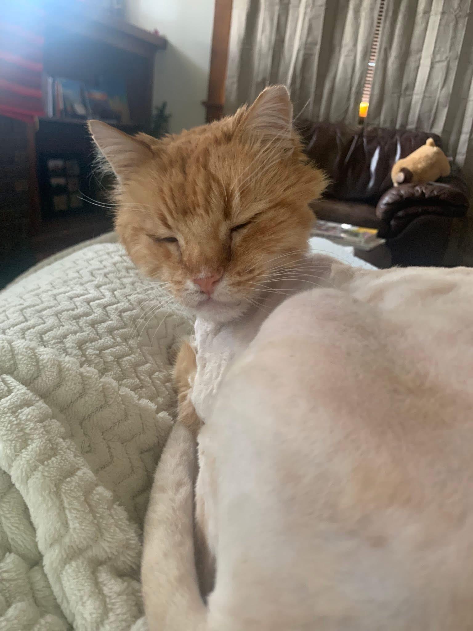 Boots — thumbnail 2