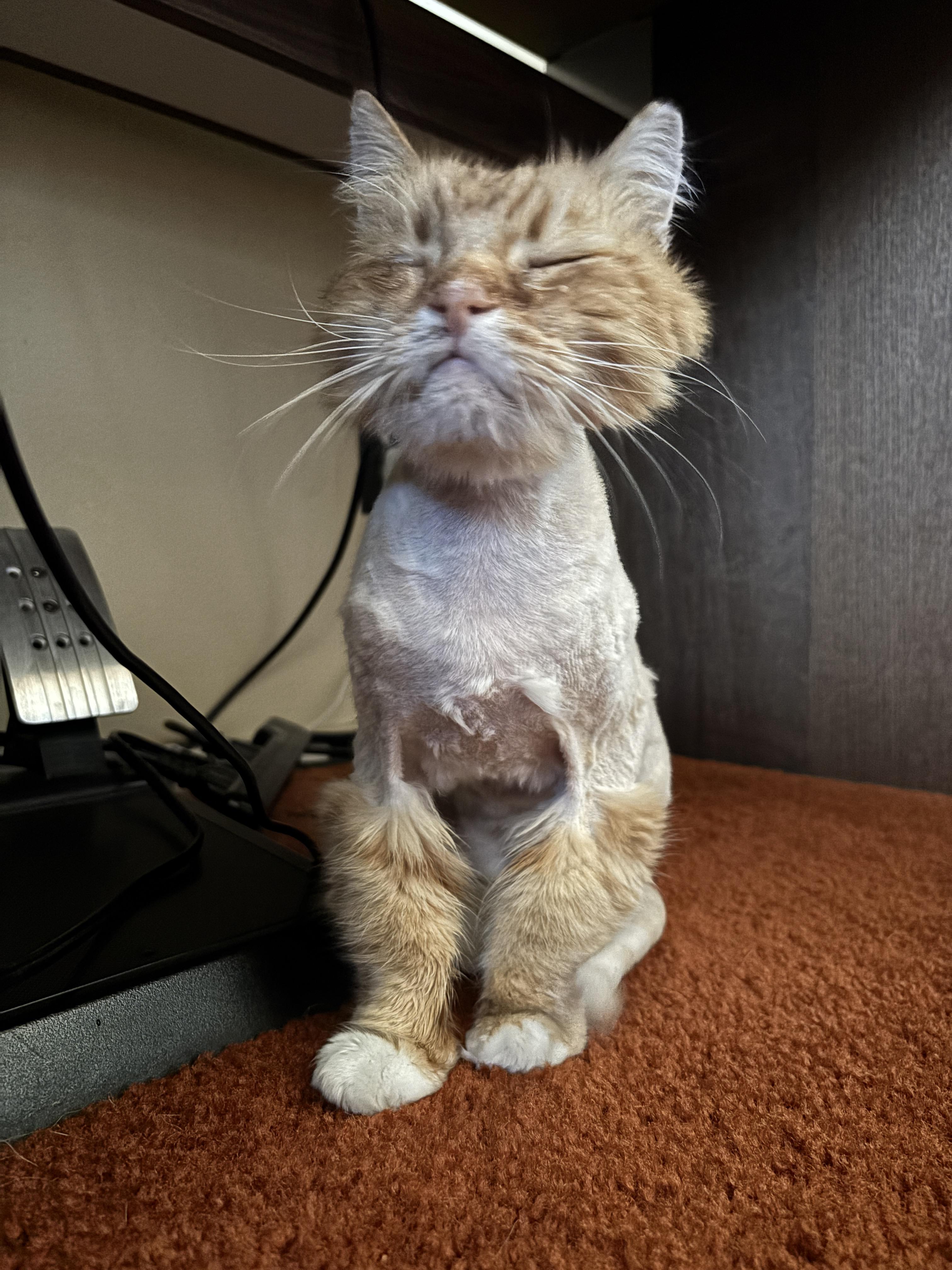 Boots — thumbnail 3