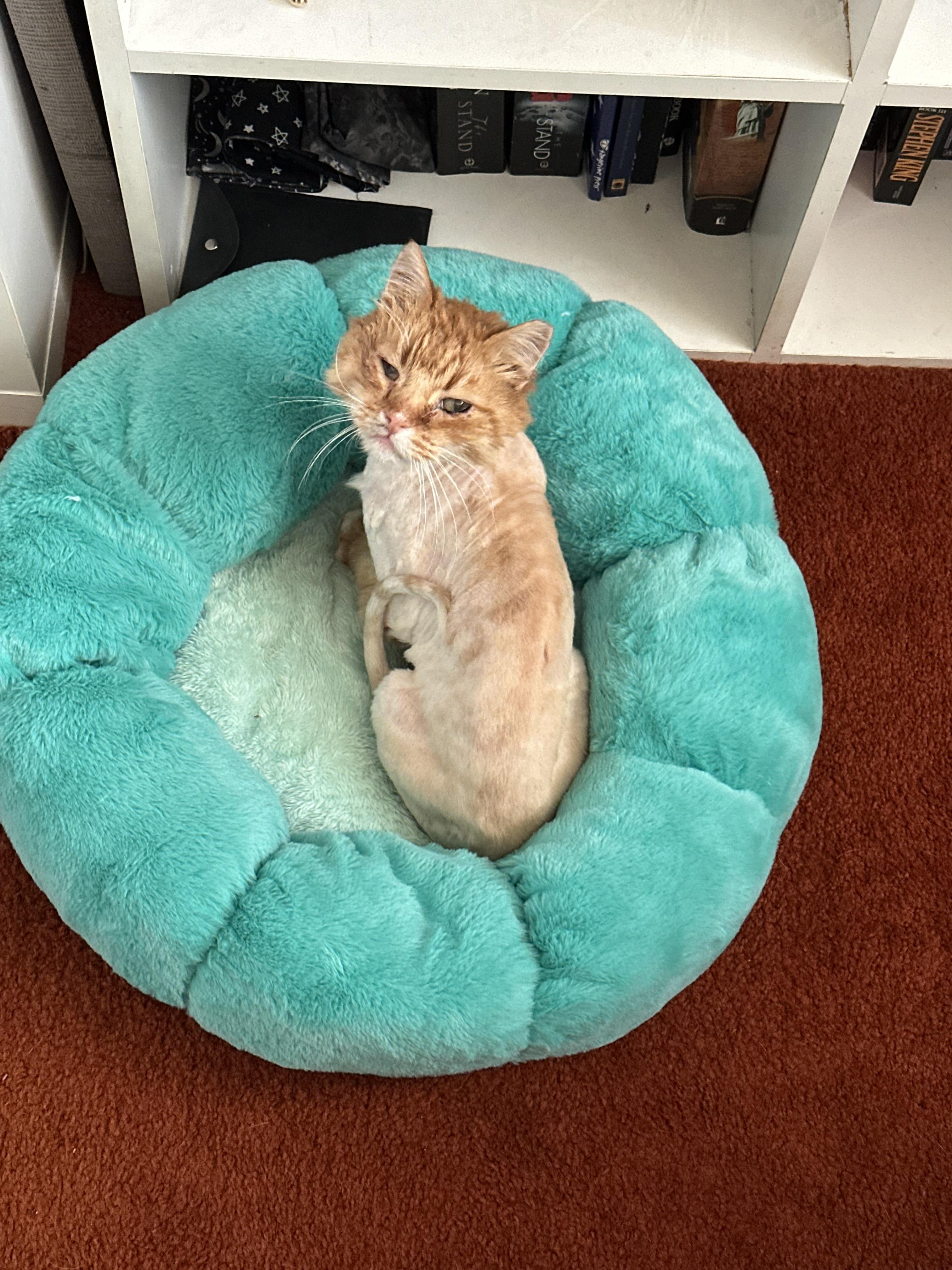 Boots — thumbnail 4