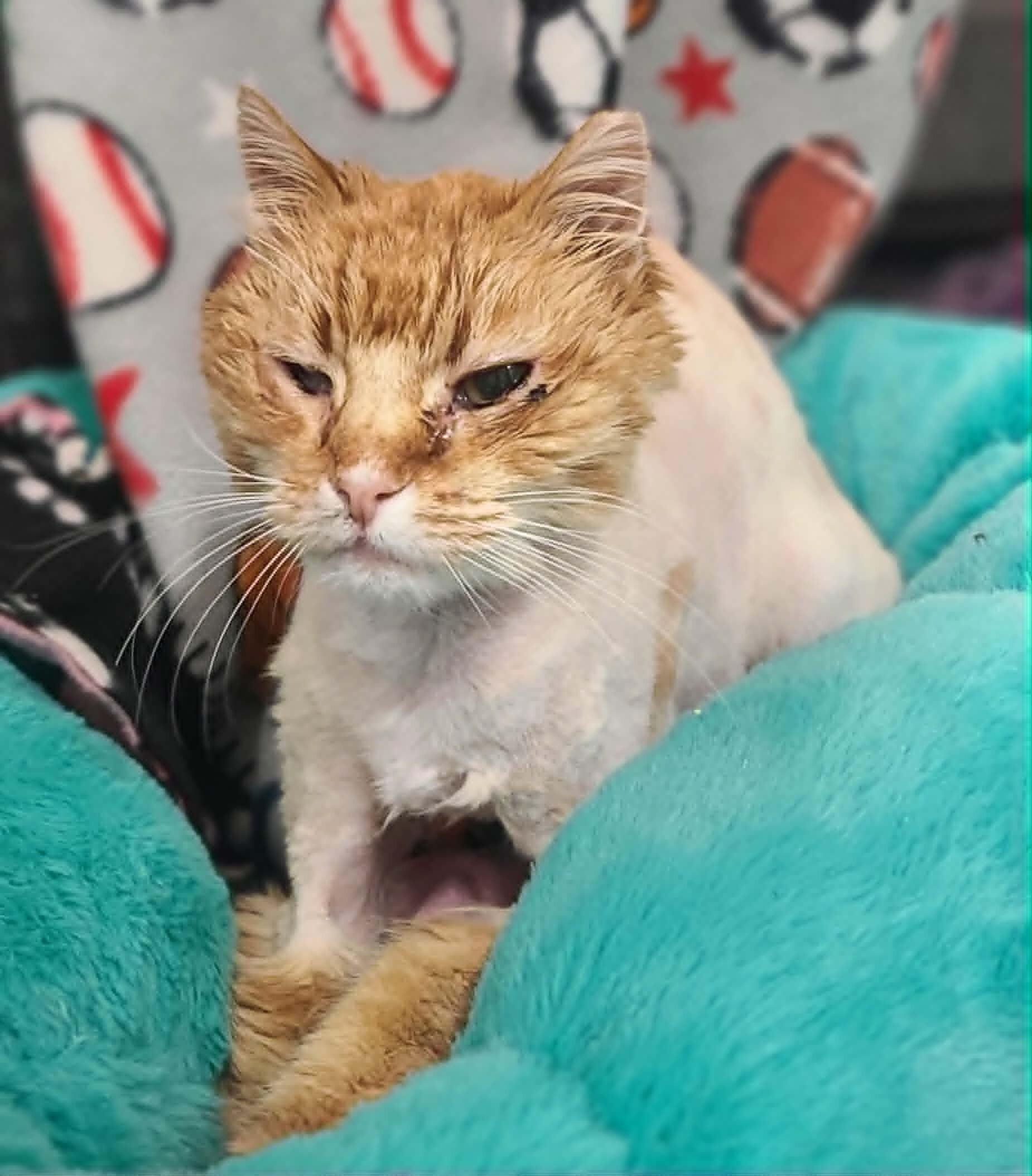 Boots — thumbnail 5