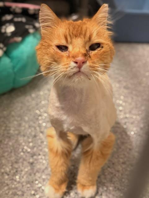 Boots — thumbnail 6