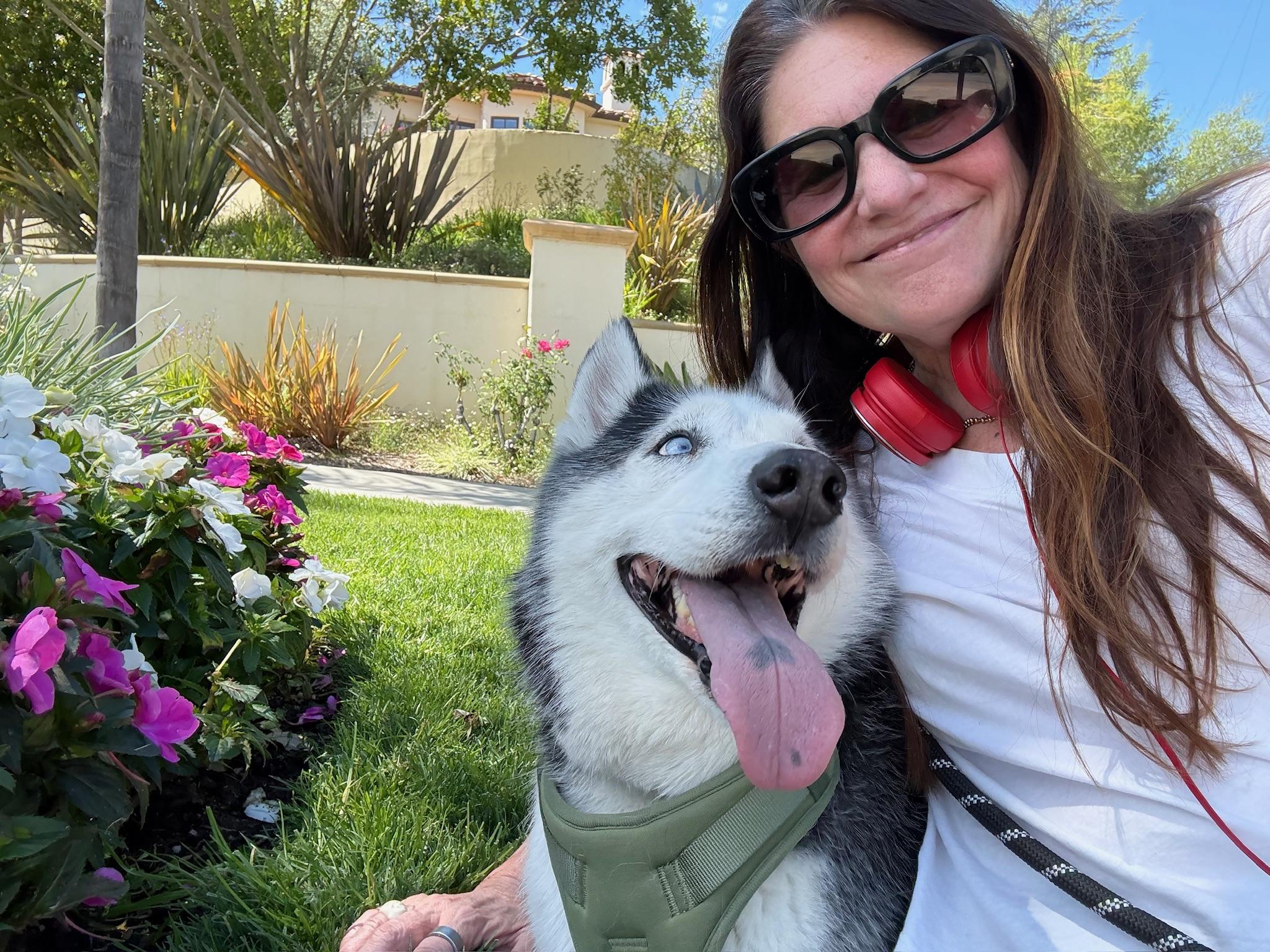 Enlarge Oreo, a Adoptable mixed breed in santa monica, CA image 2/6