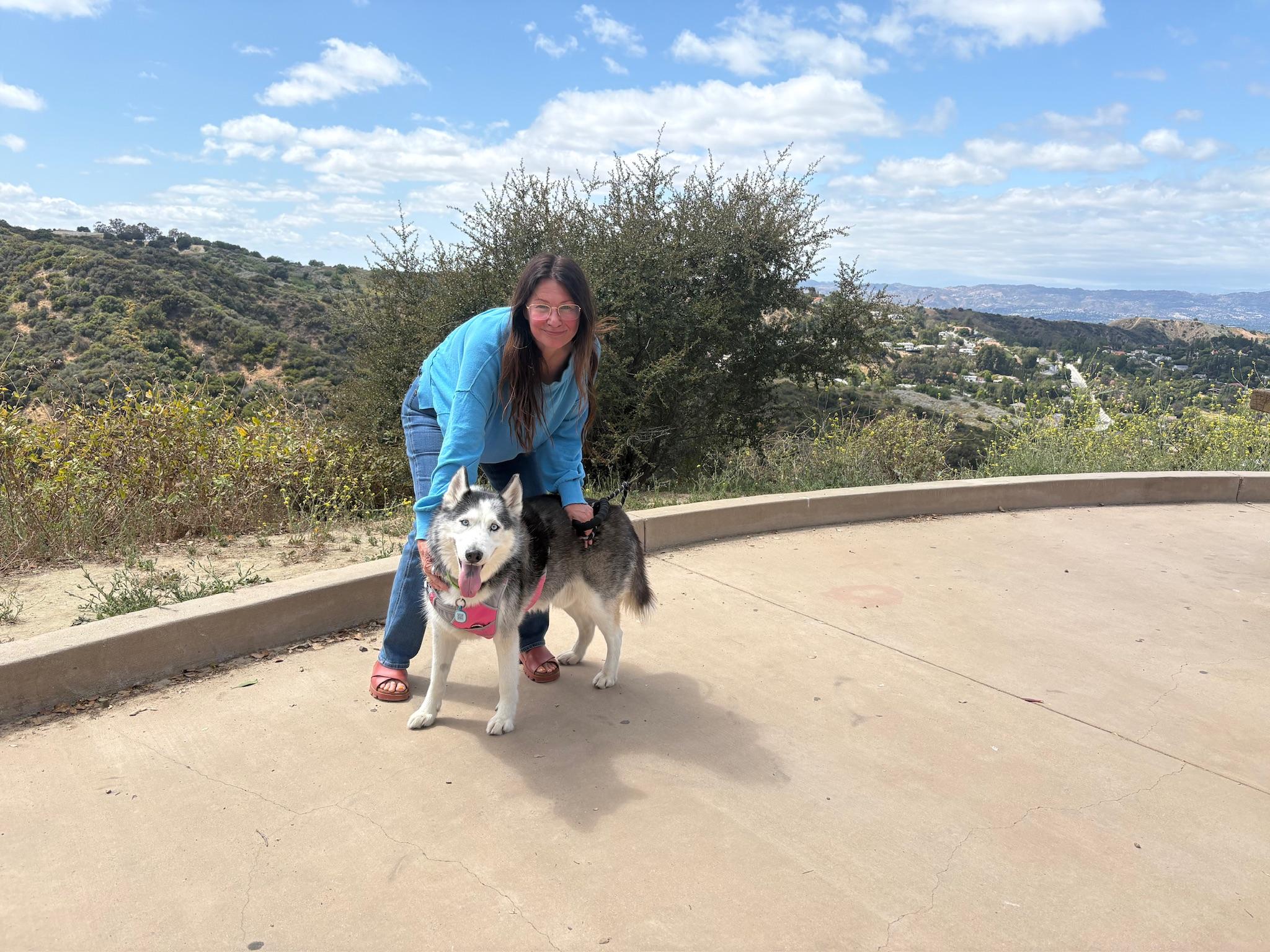 Enlarge Oreo, a Adoptable mixed breed in santa monica, CA image 5/6