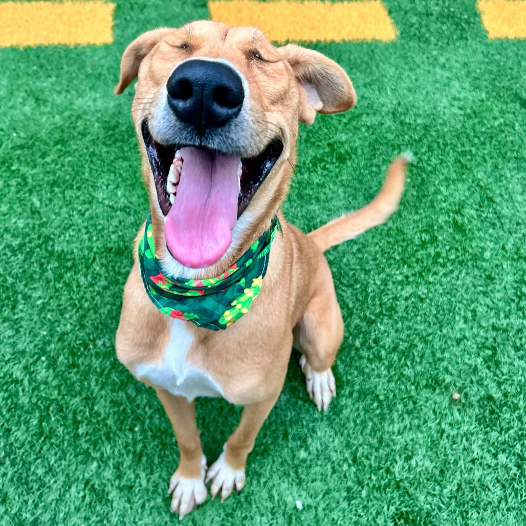 Eloise Parise thumbnail 5