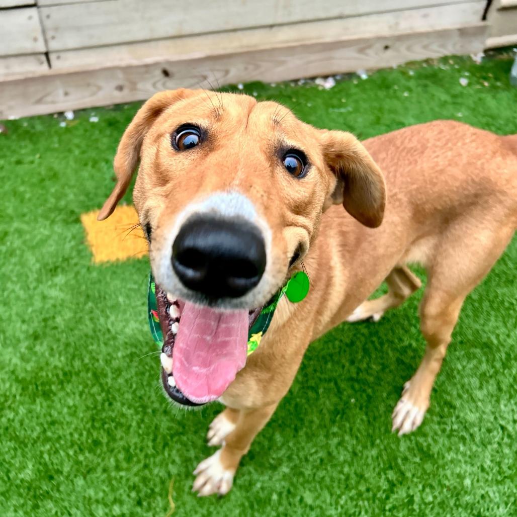 Eloise Parise thumbnail 6