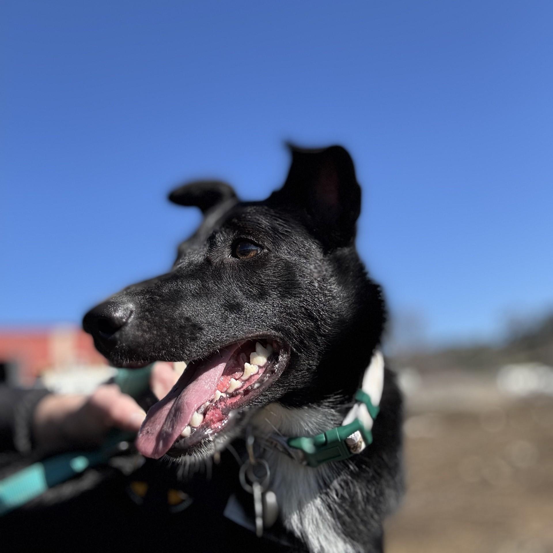 Maggie