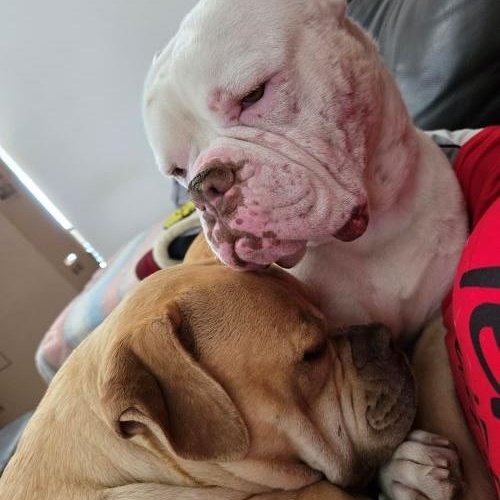 Noah and Asha